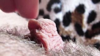 extreme close-up clitoris